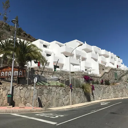 Amazing * Mogán